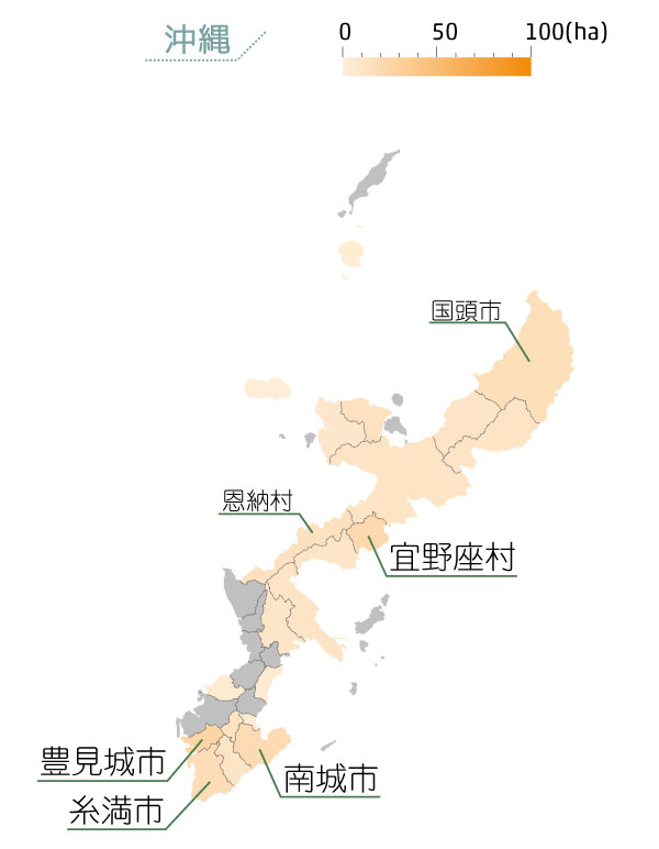 沖縄本島のマンゴー栽培エリアマップ