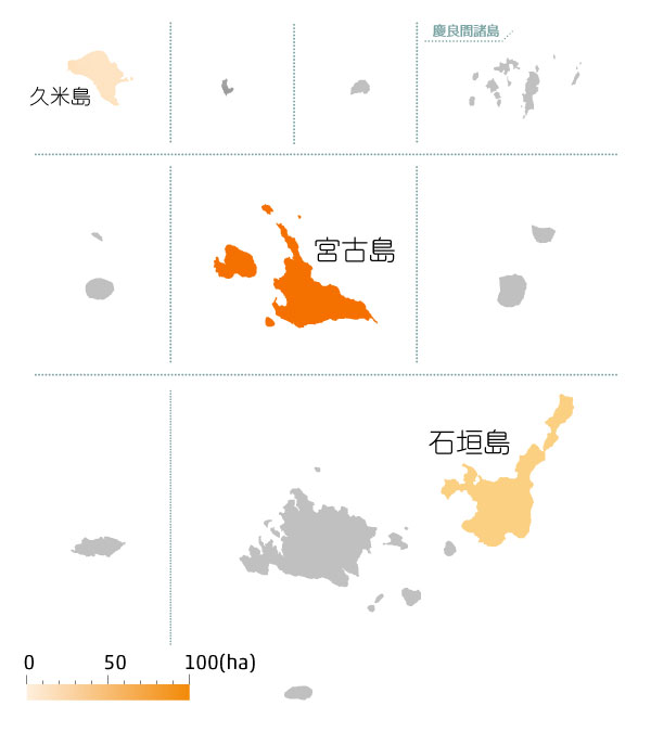 沖縄離島のマンゴー栽培エリアマップ