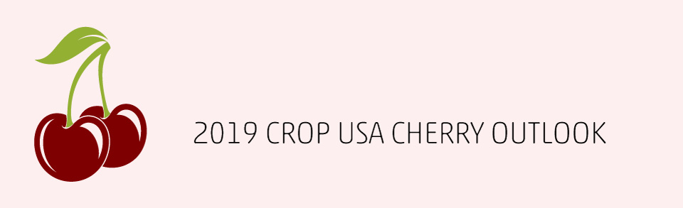 2019 crop USA cherry outlook
