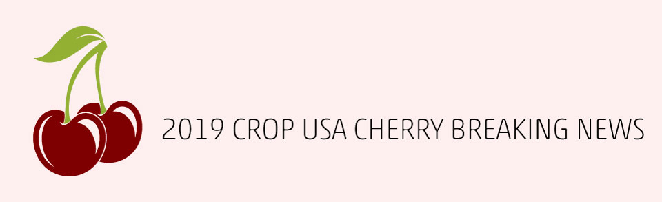 2019 crop USA cherry breaking news